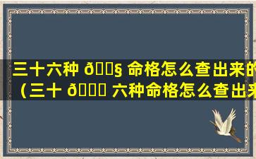 三十六种 🐧 命格怎么查出来的（三十 🐘 六种命格怎么查出来的啊）